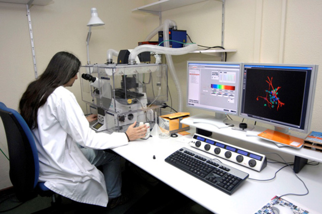 Sociedad de Ingeniería Biomédica