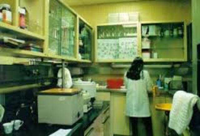 Surgen nuevas disciplinas