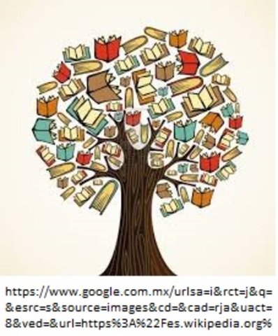 Cambio de énfasis en los libros de textos