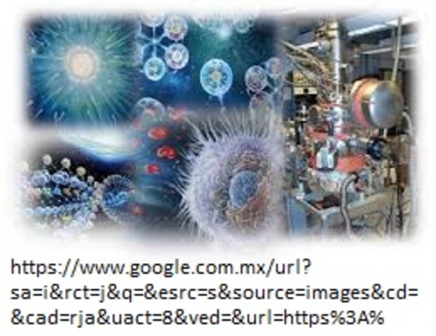 Ciencias y catálisis