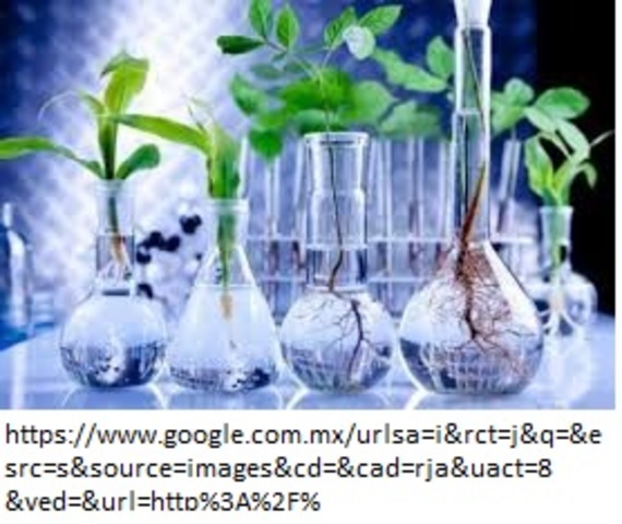 Ingeniería ambiental