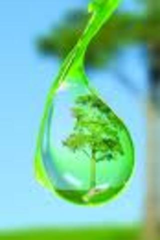 level 6 water restrictions