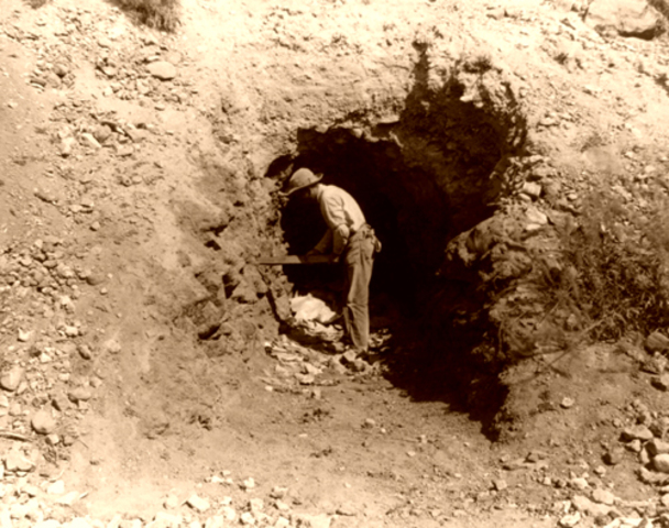 Vittwia married Michael Mickelson because he was sick.