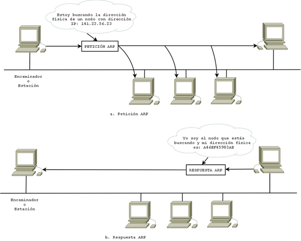 Se crea ARP (Protocolo de Resolución de Direcciones)