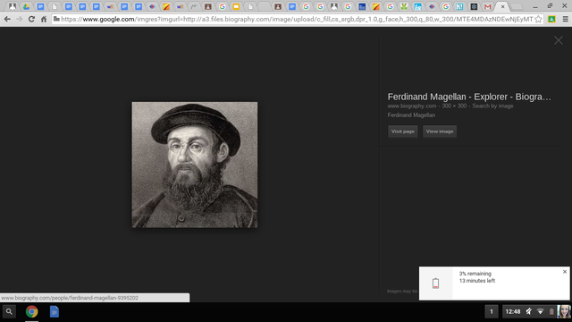 Ferdinand Magellan (Fernão de Magalhães) was the first person to circumnavigate the globe.