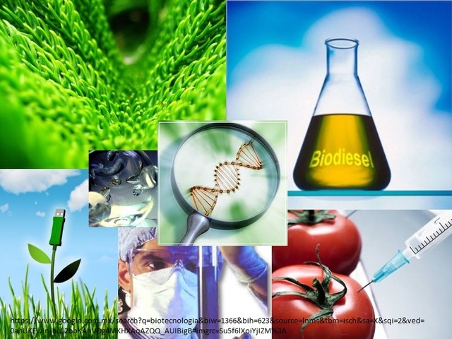 futuro de la ingenieria quimica.