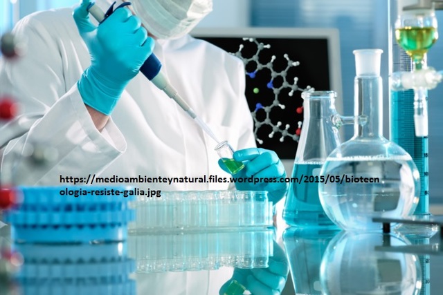 Planes de estudio a futuro