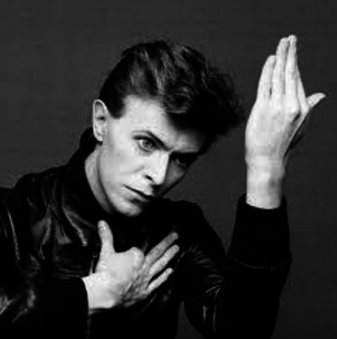 David Bowie se murió