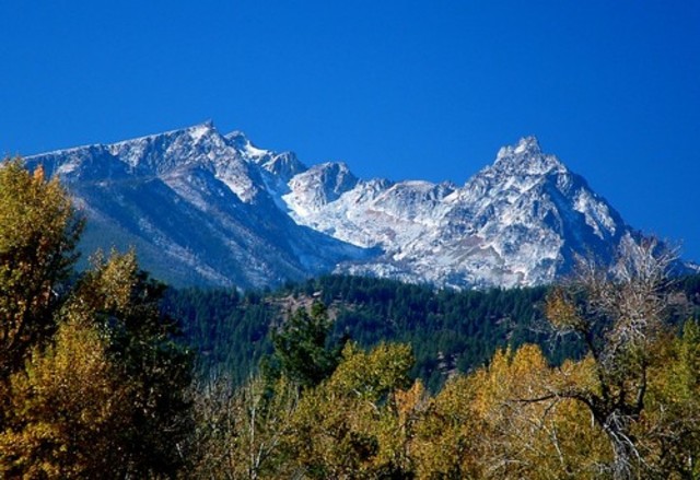 Bitterroot mountain