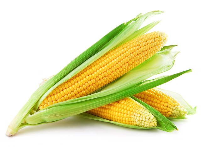 corn