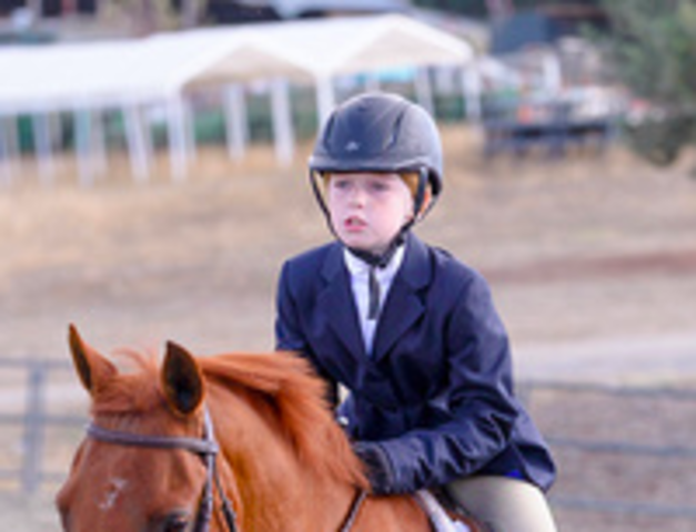 Junté Windy Hill Equestrian