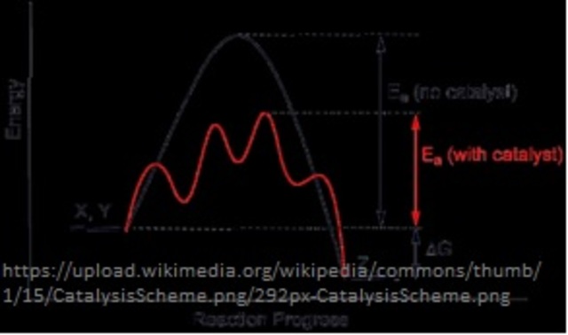 Auge de ciencia en Ingenieria Quimica III