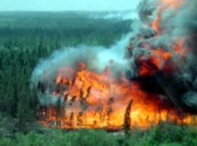 Miramichi Fire kills more than 160 persons and consumes 6,000 square miles of forest in New Brunswick.
