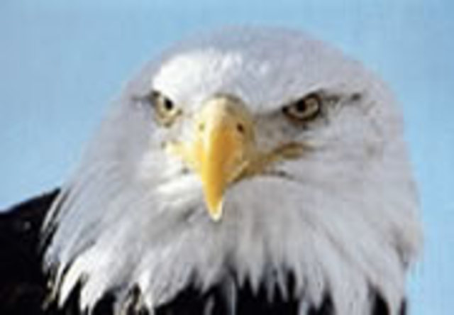 Inicio del estudio de campamento 2010