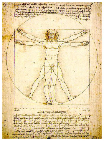 la Divina proportione