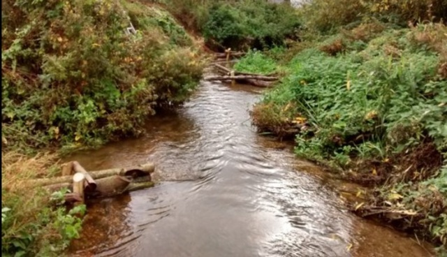River Stour Improvements