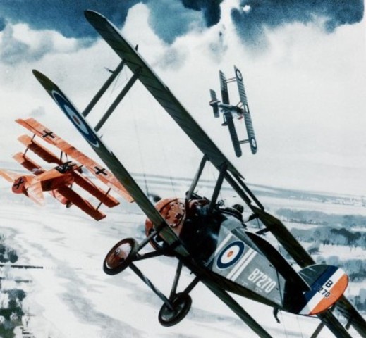 Roy Brown and the Red Baron(1)