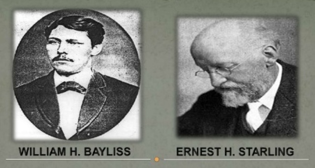 Hormonas / William H. Bayliss & Ernest H. Starling / Biología