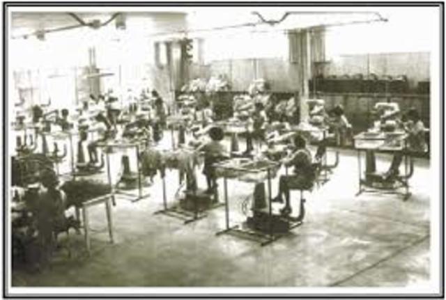 Se adopta el estudio por área de conocimientos