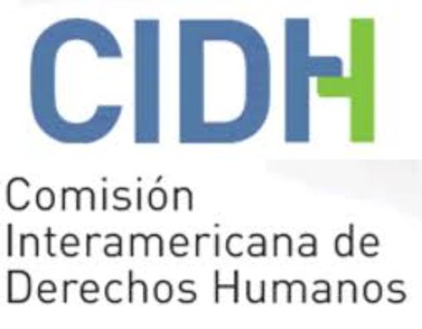 Comisión Interamericana de Derechos Humanos. Informe sobre los Derechos Humanos delas Personas Privadas de la Libertad en las Américas
