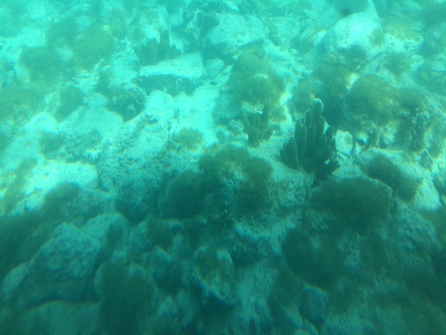 Viviendo la experiencia