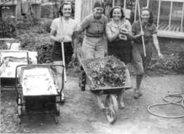 cntrol de calidad para suministros, Gran Bretaña