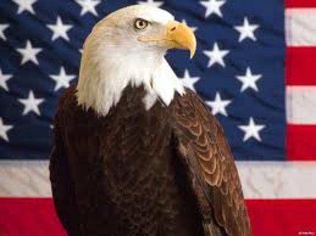America adopted the Bald Eagle