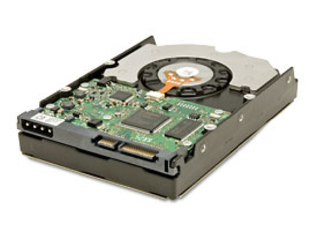 Hitachi Deskstar 7K1000