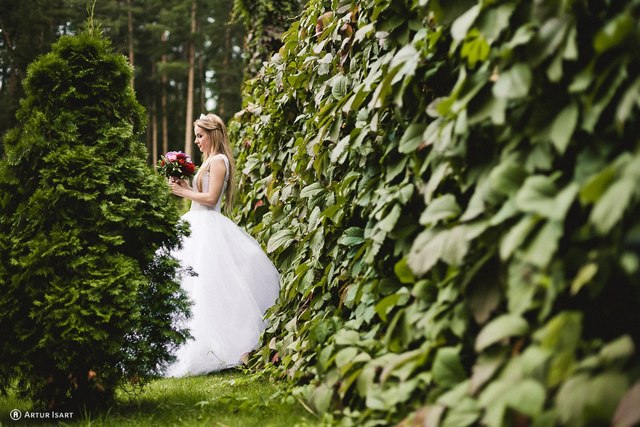 William married Anne Hathaway