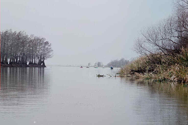 Turtle Bayou Resolutions...