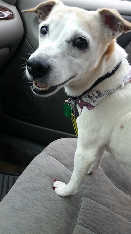 Millie and Mommy go to a spa day!