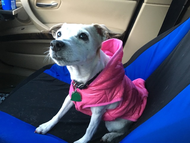 Millie loves her birthday present!