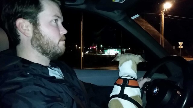 Millie and Daddy go for a late night walk before bed!