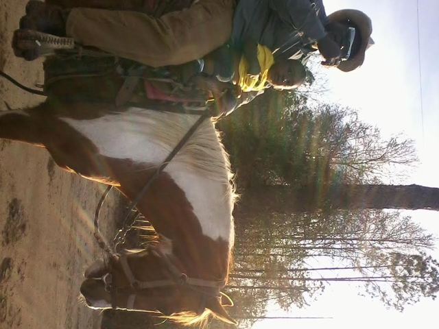 first time going horse back riding