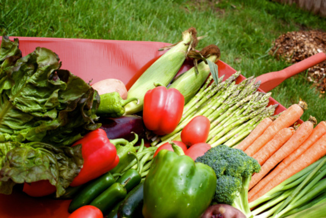 Evolución histórica