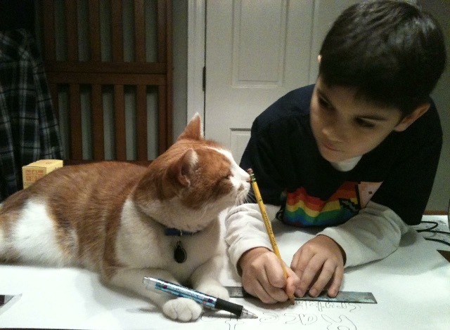 Getting my Cat, Mario