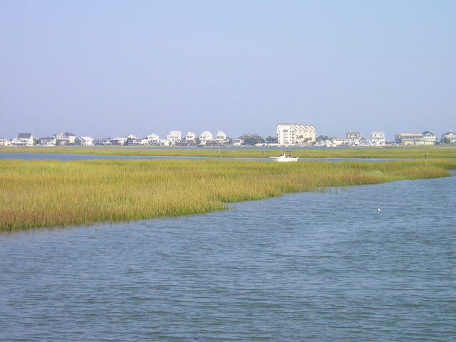 Visited Friends in Murrells Inlet, SC