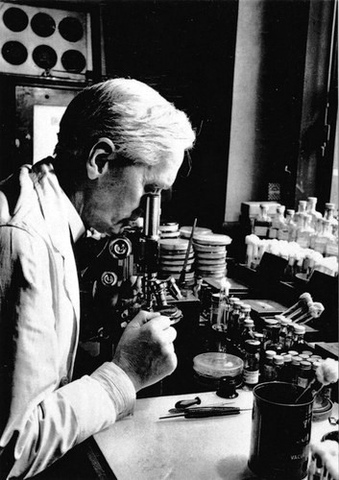 DESCOBRIMENT DE LA PENICIL·LINA