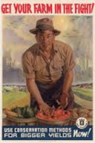 Agricultural Adjustment Act