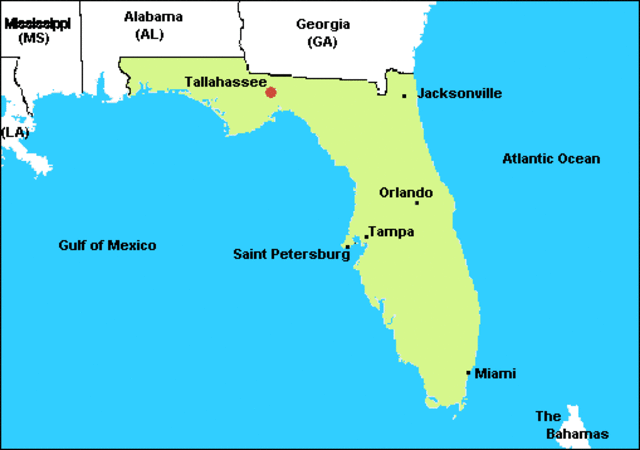 Florida Purchse