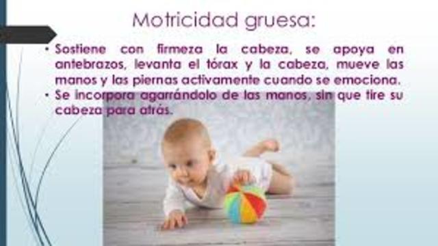 Psicomotricidad 0 meses