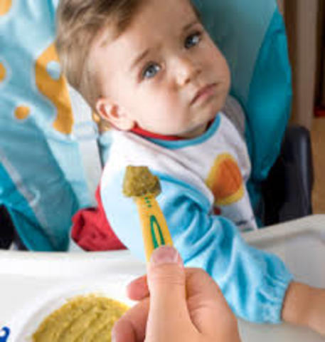 Alimentación 4-5 meses