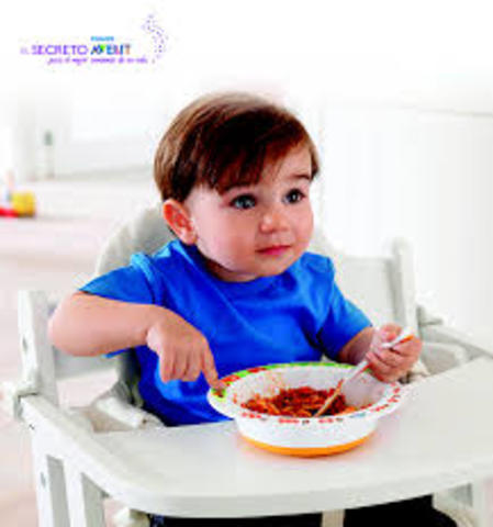 Alimentación 1-2 años