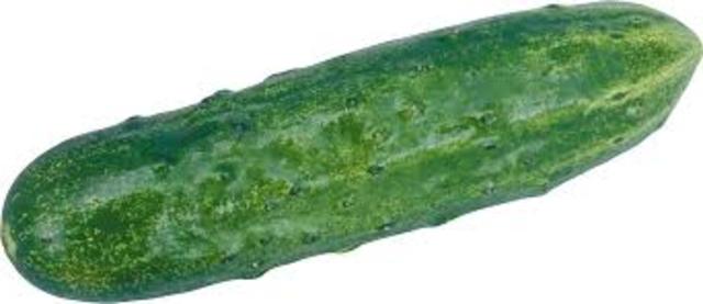 cucumber