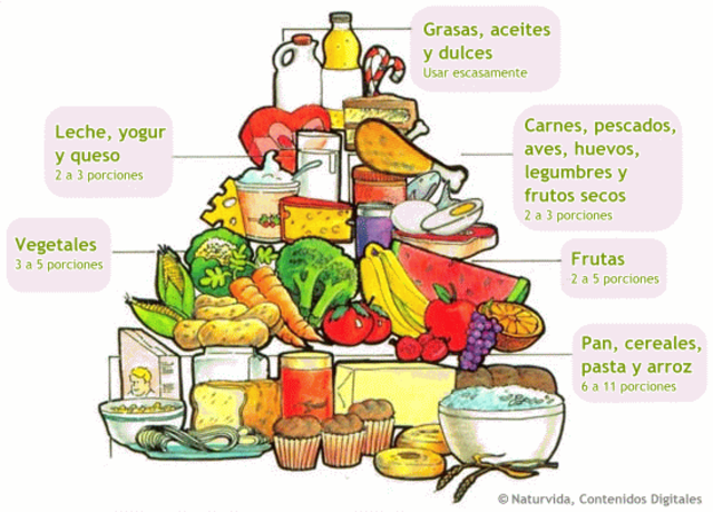 Primera pirámide alimentaria
