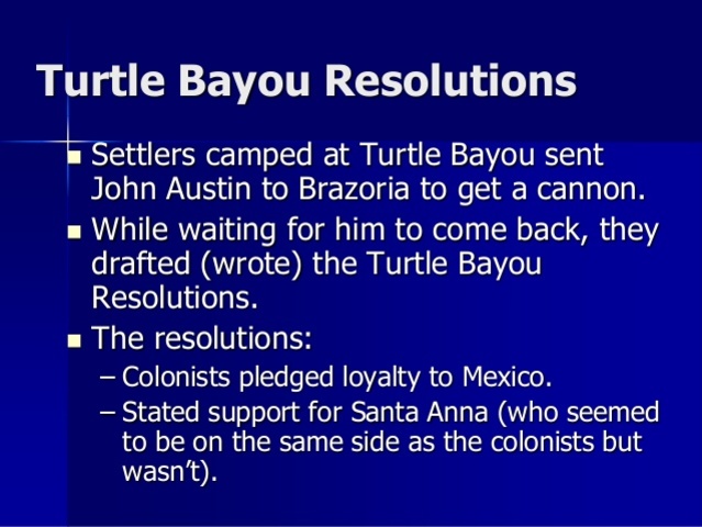 Turtle Bayou Resolutions