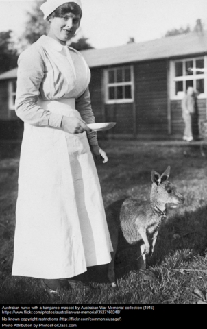 rehabilitation therapy