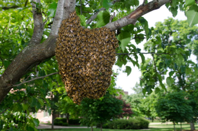 Hanover Junction, Virginia