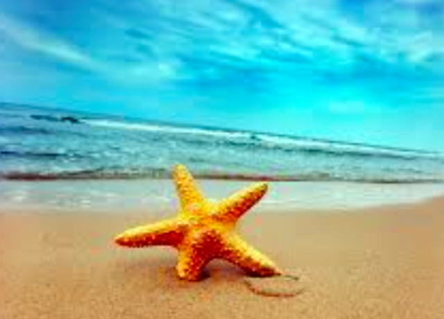 My favorite university