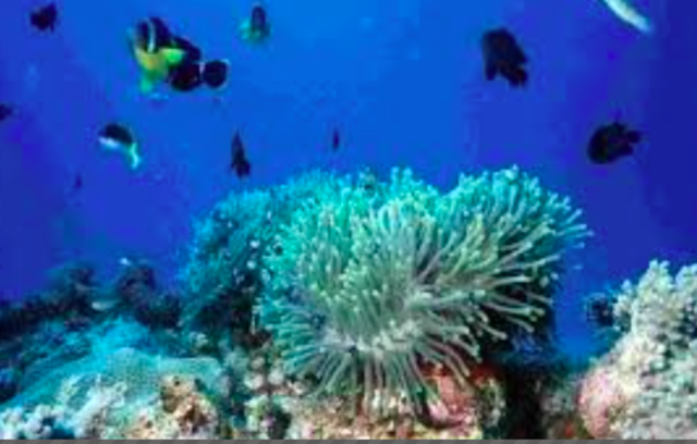 To Republic of Mauritius